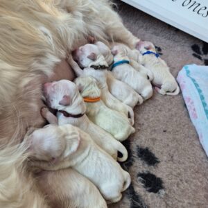 WhatsApp Image 2025-04-30 at 17.04.18 (4)