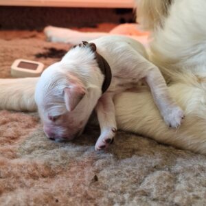 WhatsApp Image 2025-04-30 at 17.04.24 (1)