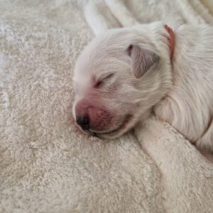 WhatsApp Image 2025-04-30 at 17.04.25 (1)