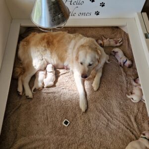 WhatsApp Image 2025-04-30 at 17.04.27 (2)